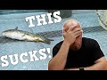 Aquariums SUCK! Here's The Top 10 Reasons Why!