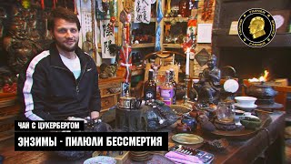 Чай с Цукербергом - ЭНЗИМЫ - пилюли бессмертия