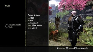 ESO Glitch: blank load screens LAG!!!