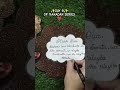 DIY ✨DAY 9✨OF RAMADAN SERIES ❤️😍 RAMADAN IFTAR &amp; SUHOOR DUA 😍💫#dua #ramadan #happiness #diy 🫰✨💫😍