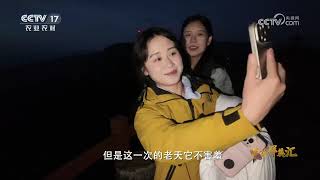 《三农群英汇》 20260923 小凉妹的夏日“凉”方 | 农业致富经 Agriculture And Farming