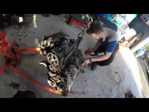 Ep:10 Shell’s gone! We start the oily work!