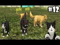 Cat sim online play with cats update android  ios  gameplay episode 12