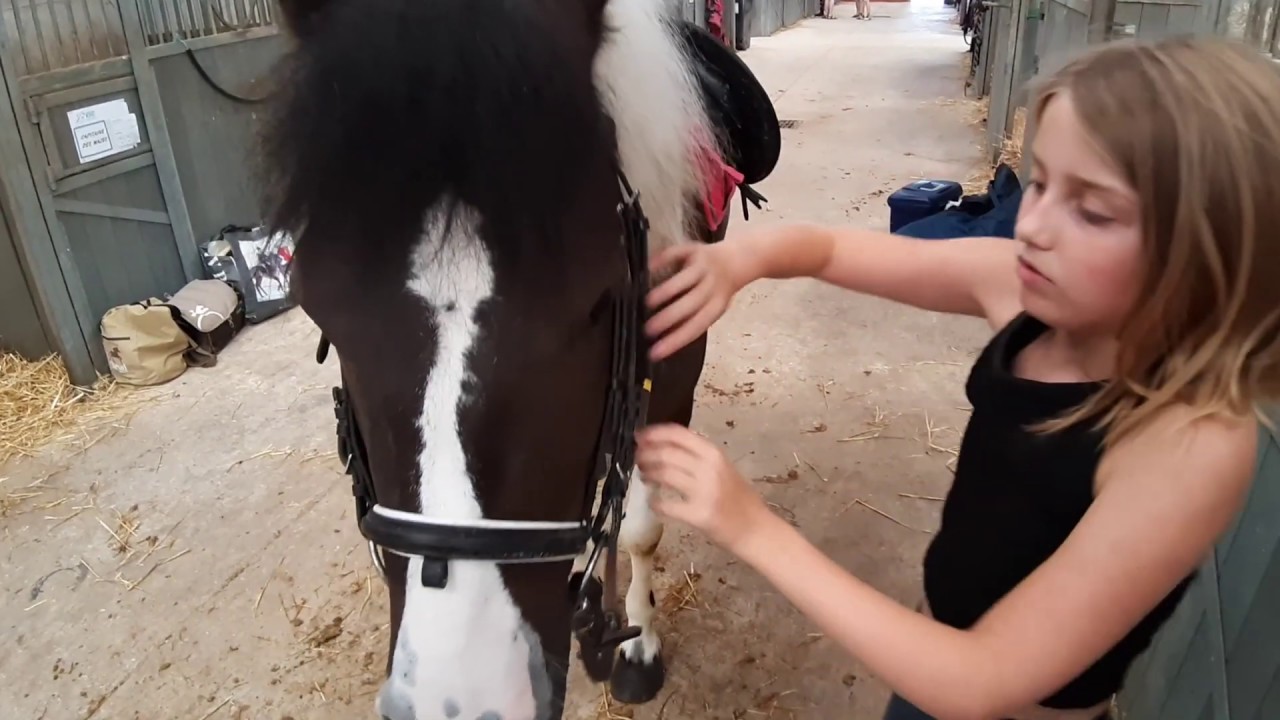 Boite De Pansage Reve Compulsif Revue Nos Boites De Pansage Youtube