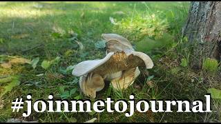 #joinmetojournals  another page with Kim
