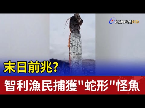 末日前兆?智利漁民捕獲5公尺長"蛇形"怪魚