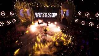 My ranking of Wasp’s performances