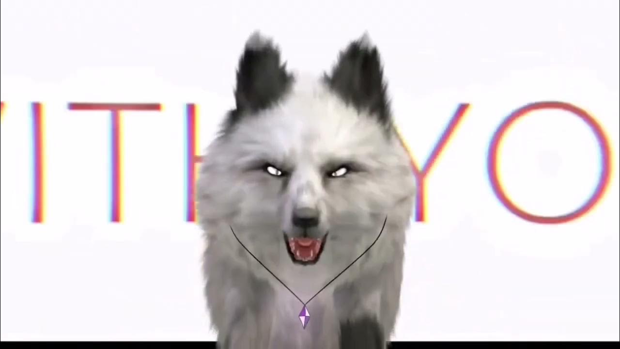 //Top 10 wildcraft meme// YouTube