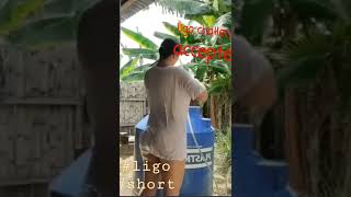 ligo challenge, accepted #short