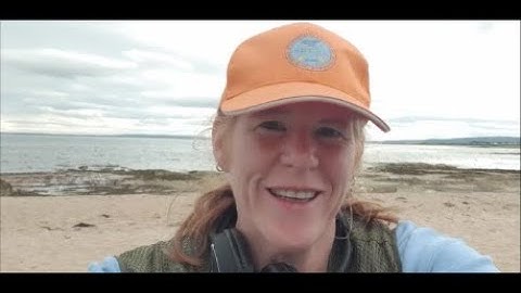 Simplex+ SP24 On the beach. Identifying hot rocks using different modes, sound/ vdi. Beach tips.