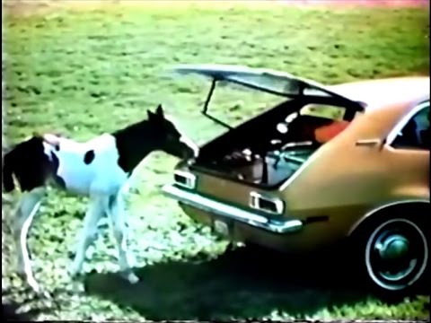 ford-pinto-runabout-'pony'-commercial-(1971)