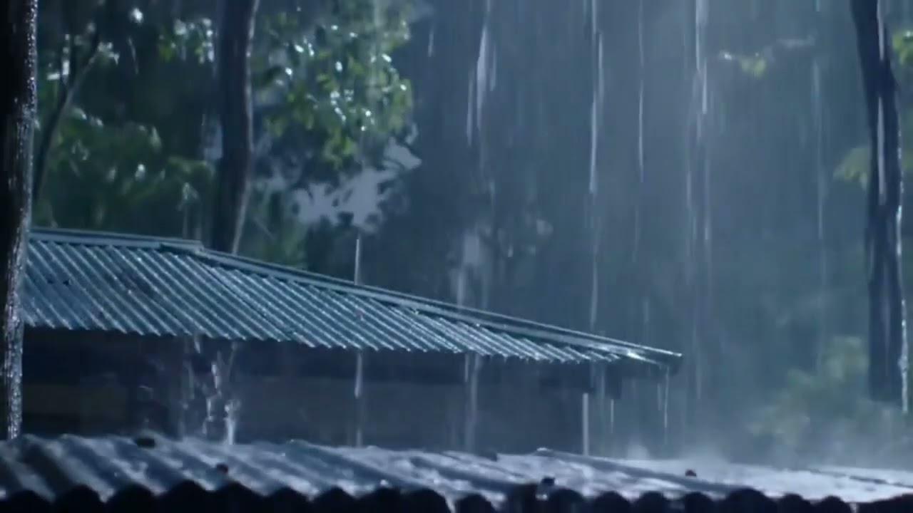 I Tried RAIN Sounds for 30 Days and Here's What Happened