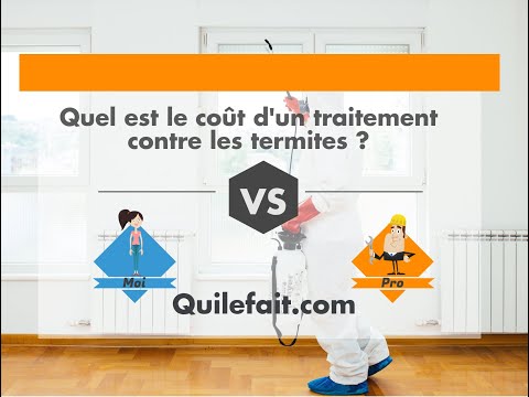 Vidéo: Combien coûte un traitement contre les termites ?