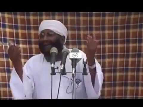محمد مصطفى عبدالقادر الذكر عند الصوفية