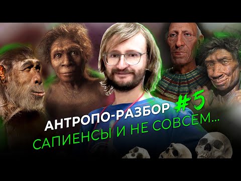 Сапиенсы и не совсем... Станислав Дробышевский. #Антропо_разбор 5