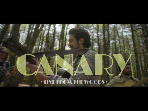 Mo Lowda & the Humble, Caiola - Canary - Live From the Woods