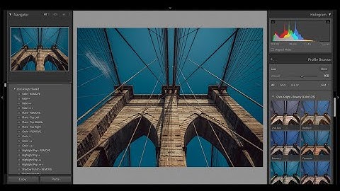 How to Install Custom Profiles in Lightroom and Adobe Camera Raw