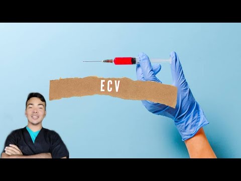 Vídeo: Què és el grup ECV?