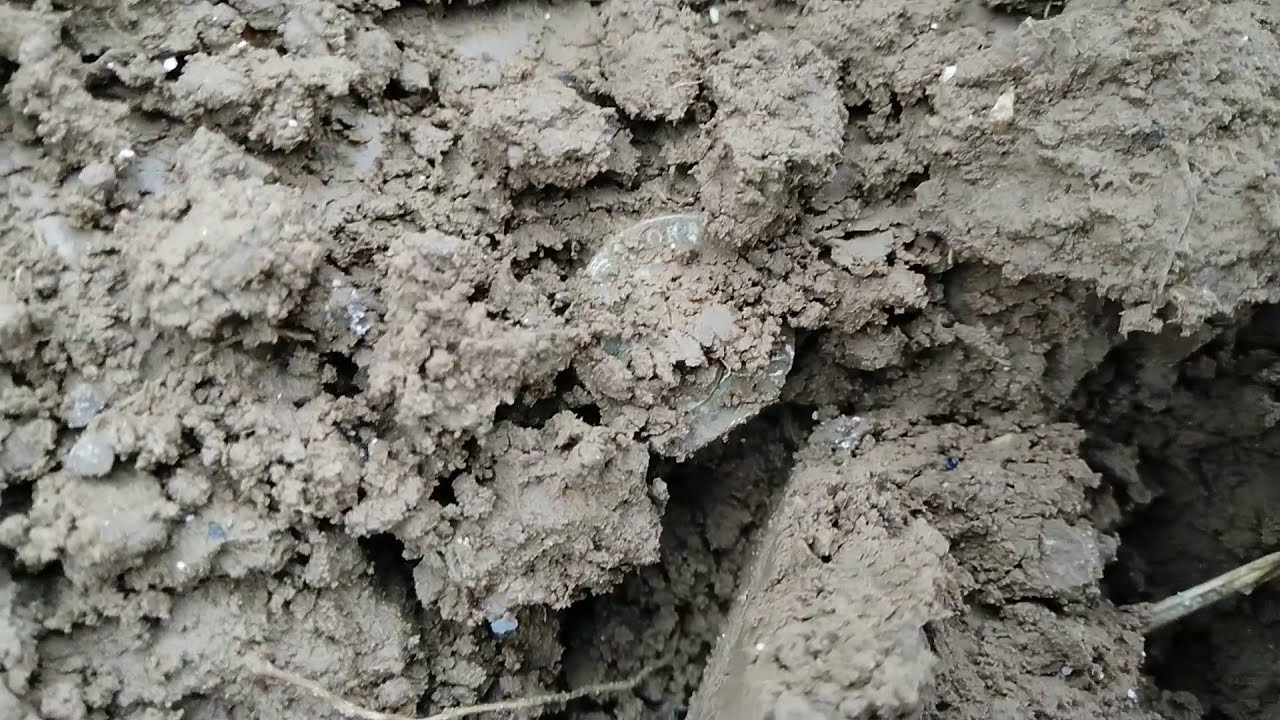 Další úspěch na políčku,středověk,stříbrňák,křížky,mince a pár zajímavostí s detektorem kovu