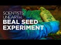 Spartan scientists unearth Beal Seed Experiment