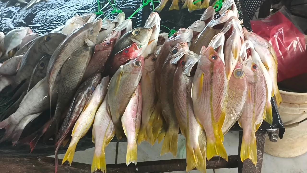 Juara! Pasar ikan tradisional Papua Barat