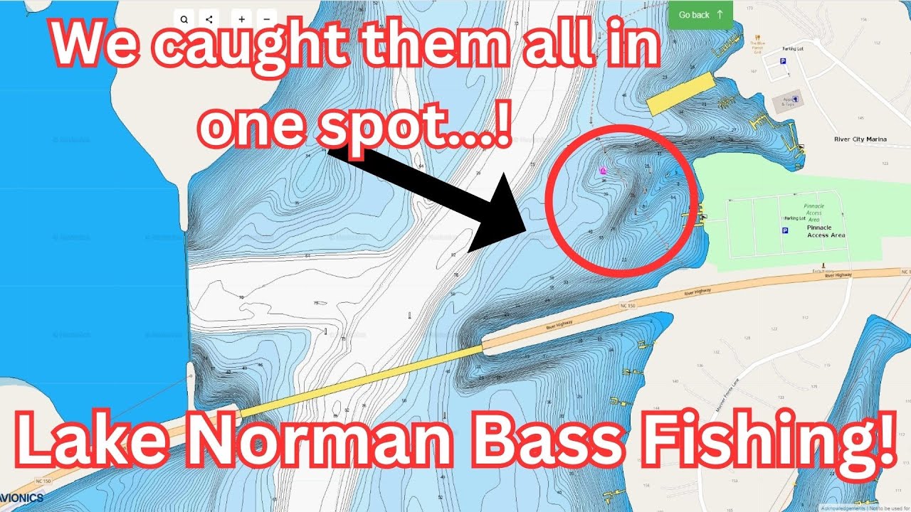 Lake Norman NC Bass Fishing  The Jerkbait was working today