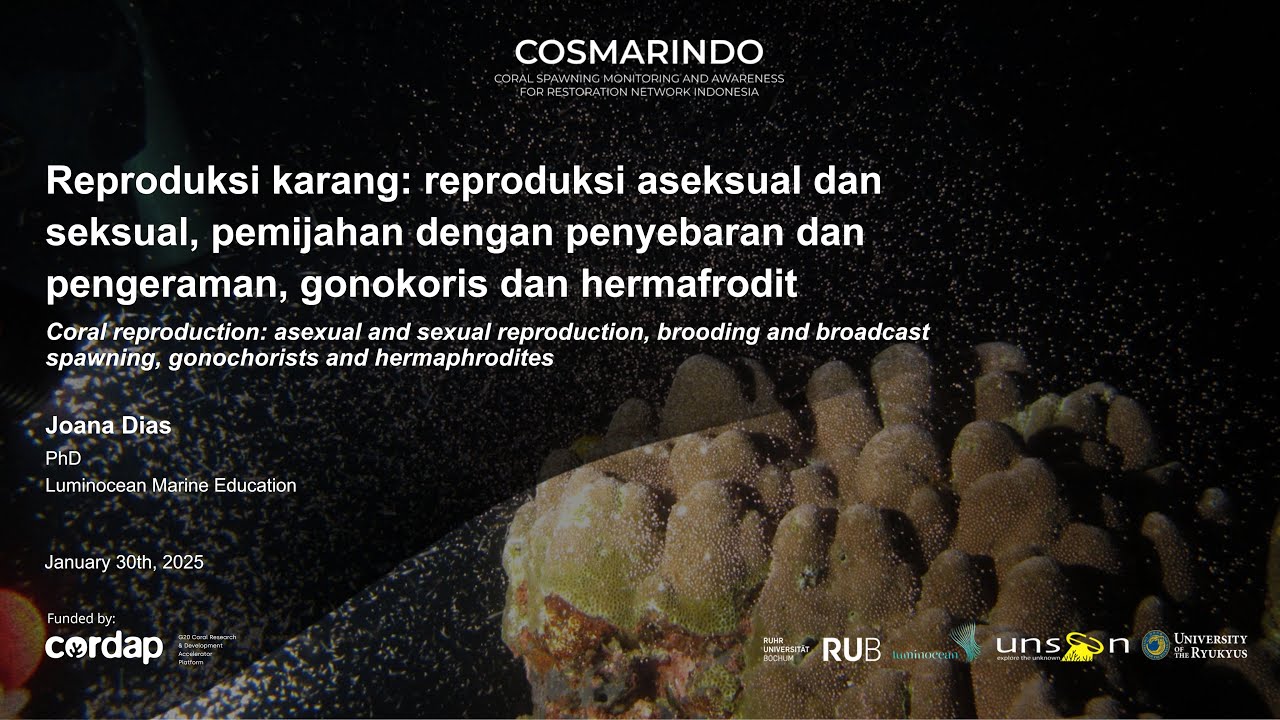 COSMARINDO Workshop 1.1: Introduction to coral reproduction