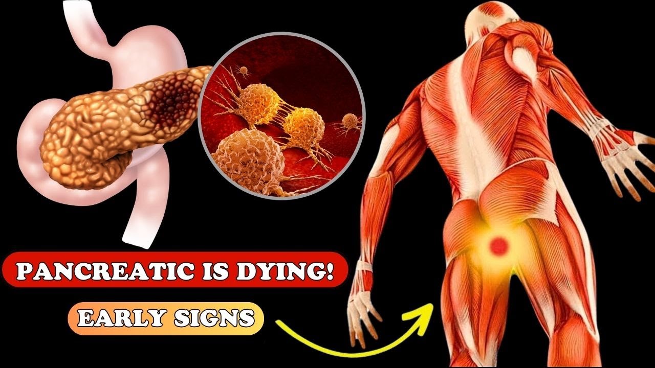 Is Your Body Trying to Tell You Something? Early Warning Signs of ...