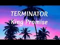 Terminator -King Promise(lyrics)