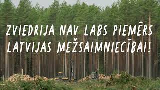 Zviedrija ir slikts piemērs Latvijas mežsaimniecībai!