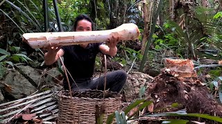 Building Complete And Warm Survival Shelter, Survival Instinct, Wilderness Alone, 179
