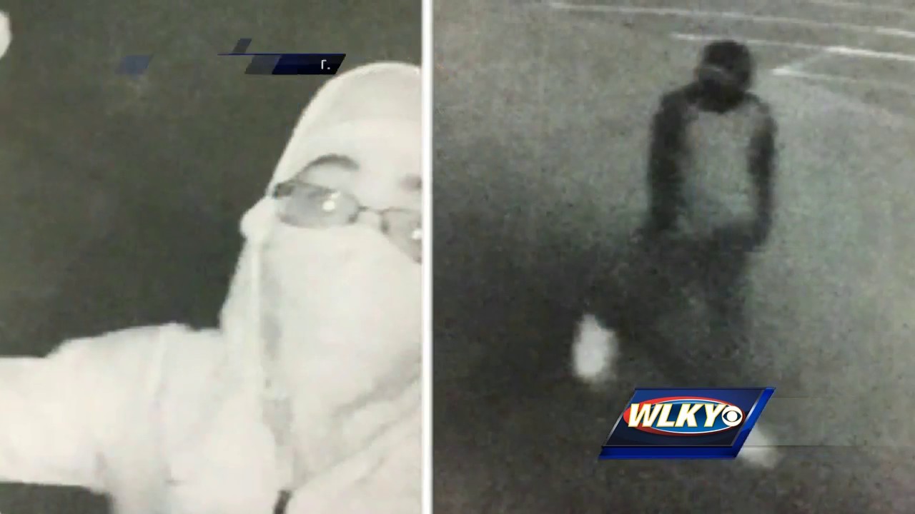 Thieves target Vine Grove gun store