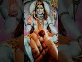 शिवपुराण के अनुसार सब कोई रूद्राक्ष पहन सकता है @astrodhamkishreeguruji 8646 thanks 🙏 shorts #bhagwa