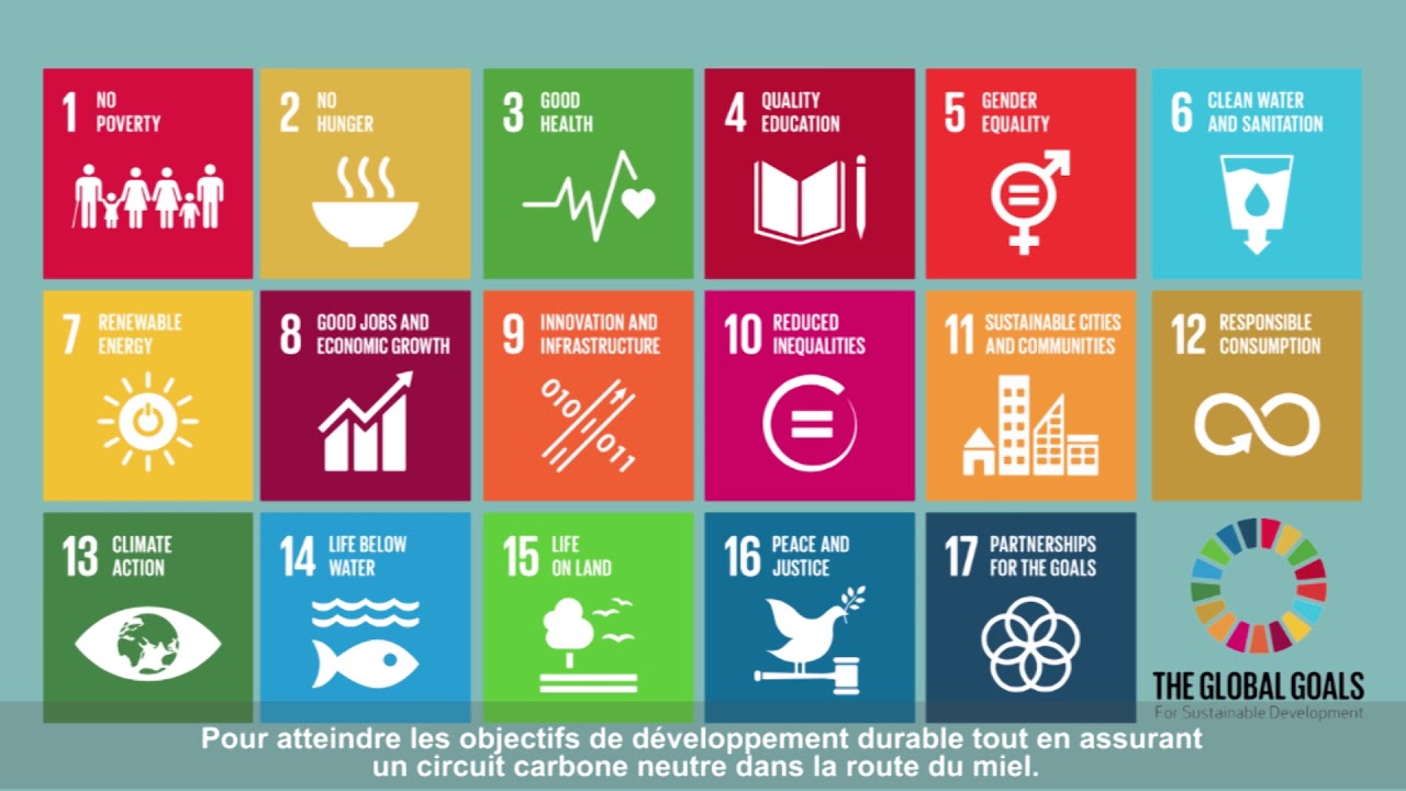 Journal of lifestyle and sdgs review