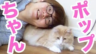PDSの猫『ポップ』と2年半ぶりの再会！遊んでみた♪