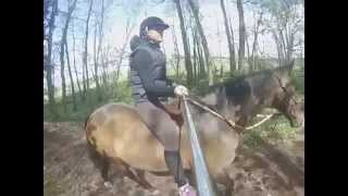 GoPro Hero 3 Bareback Horse Riding