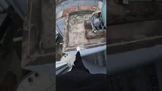 Mecca Live Today Hajj 2024