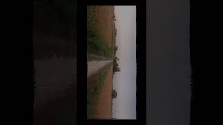 nature #nature #beauty #livingwithnature #vlog #redwimps #suzume