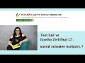 Test DaF vs Goethe Zertifikat C1: какой экзамен выбрать для успешного поступления в ВУЗы Германии?