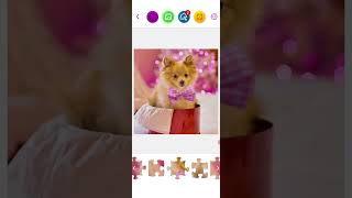 Solving jigsaw puzzle with cute spitz dog screenshot 1