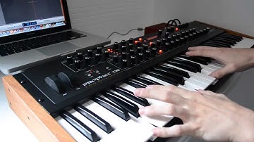 Prophet 08 Improvisation and Arpeggios