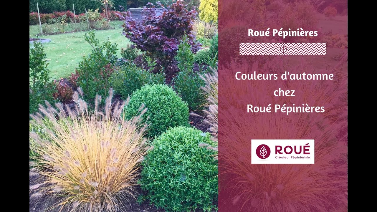Roué Pépinières - Couleurs d'Automne 2016