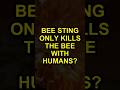 Bee Sting Only Kills The Bee With Humans