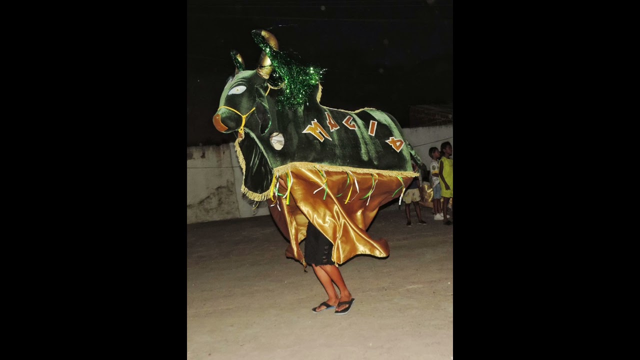 Boi magia é swingueira