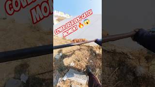 Gojo Kabaddi Dog Catch Trailer #trailer #gojo #kabaddi #streetdogrevival #shorts #dog #ytviral