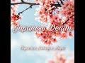 Japanese Denim (COVER)