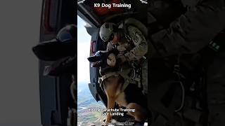 When Elite K9 Units Deploy From The Sky.#ExtremeDogs #fyp #FirstJump #Skydiving#foryou #BravePups