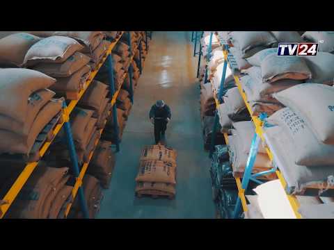 ყავა \"მონდო\"