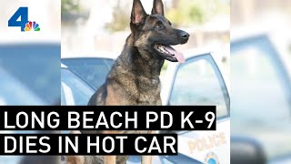 Long Beach PD K-9 Dies in Hot Car  | NBCLA