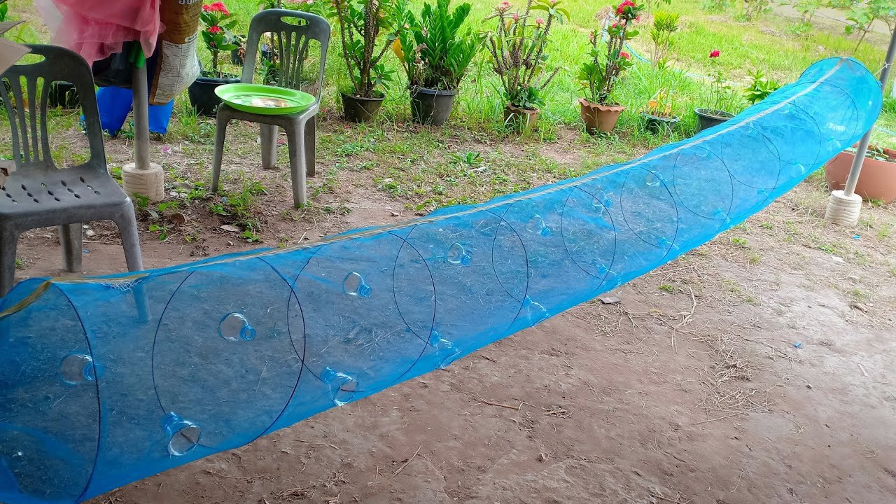 คอนโดดักกุ้ง ไอ้โง่ดักกุ้งฝอย ลองดักหน้าหนาว